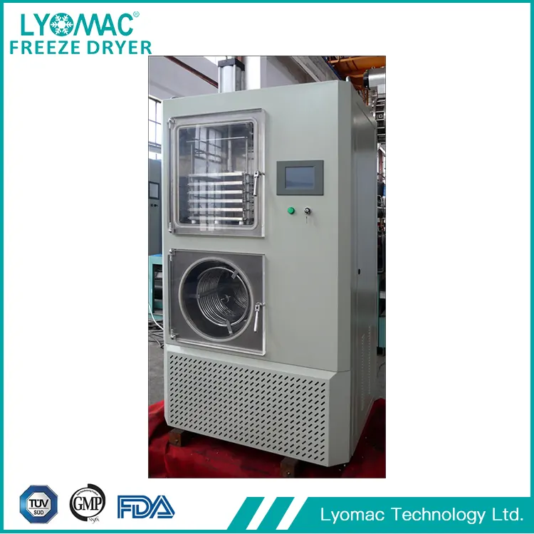 การปฏิบัติตามมาตรฐาน GMP: รากฐานที่มั่นคงของ Global Pharma Trust ของ Lyomac