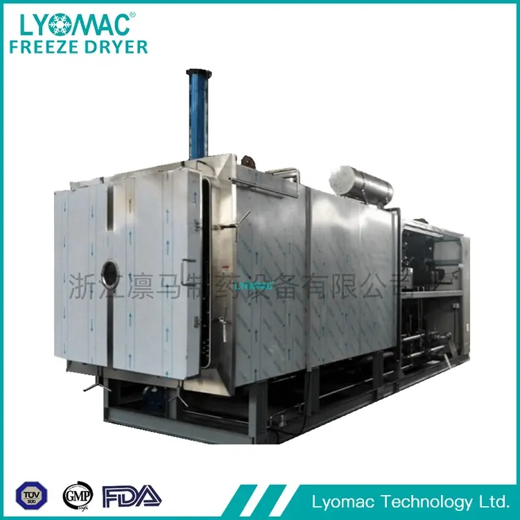 จากห้องปฏิบัติการสู่การเปิดตัว: Pilot Freeze Dryers ของ Lyomac ช่วยลดความซับซ้อนในการขยายขนาด