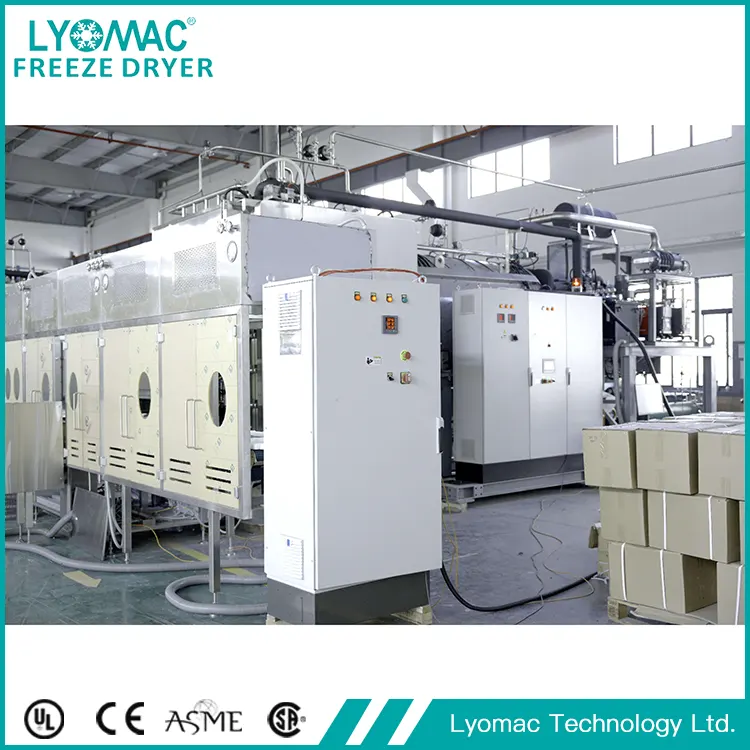 นิยามใหม่ของการปรับแต่ง: Lyomac แก้ปัญหาความท้าทายในการผลิตยาที่ไม่เหมือนใครได้อย่างไร