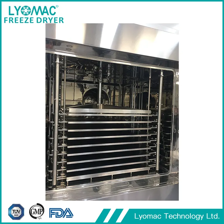 พลังของ SCADA: การควบคุมแบบดิจิทัลของ Lyomac สำหรับการผลิตที่เป็นไปตามข้อกำหนดและขับเคลื่อนด้วยข้อมูล