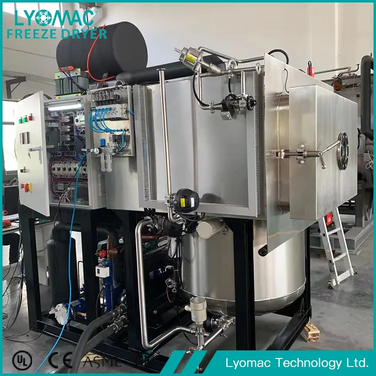 ระบบไฮดรอลิกและนิวแมติกของ Lyomac: แกนหลักในการทำแห้งแบบเยือกแข็งที่เชื่อถือได้