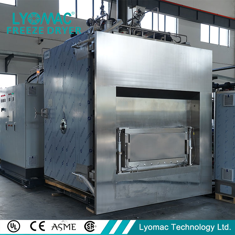 เภสัชกรรม Lyophilizer